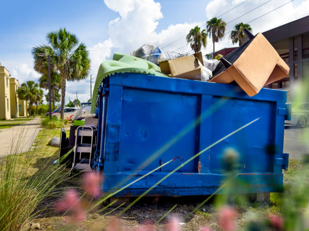 Best Office Cleanout  in Kingman, AZ